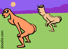   # 51